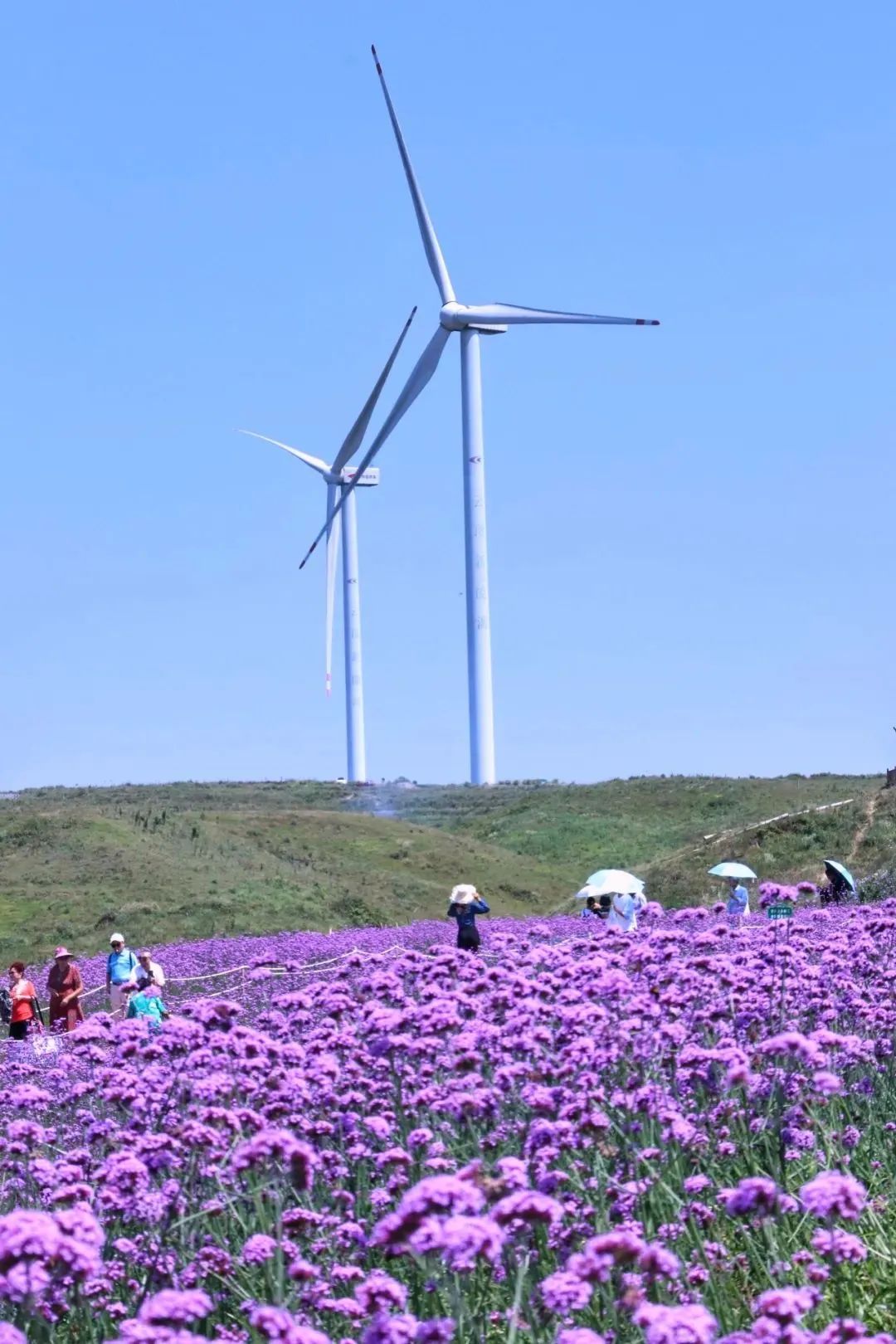 重磅！贵阳云顶暮曙公园10月1日正式开园~神秘面纱，先睹为快！-25